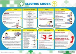 Wc Electric Shock Poster 5405026                            le W590xH420mm Ref 5405026